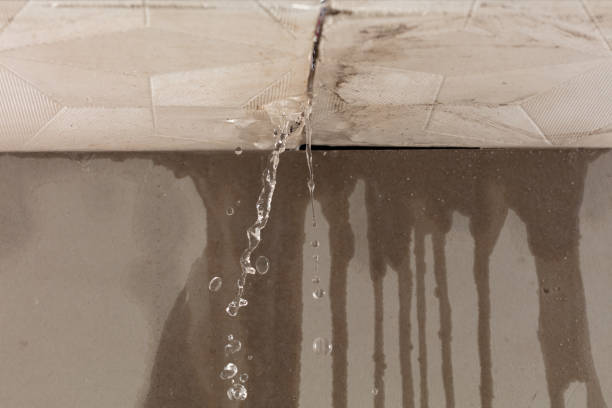 Professional Water Damage Restoration technician working in Sealy, TX